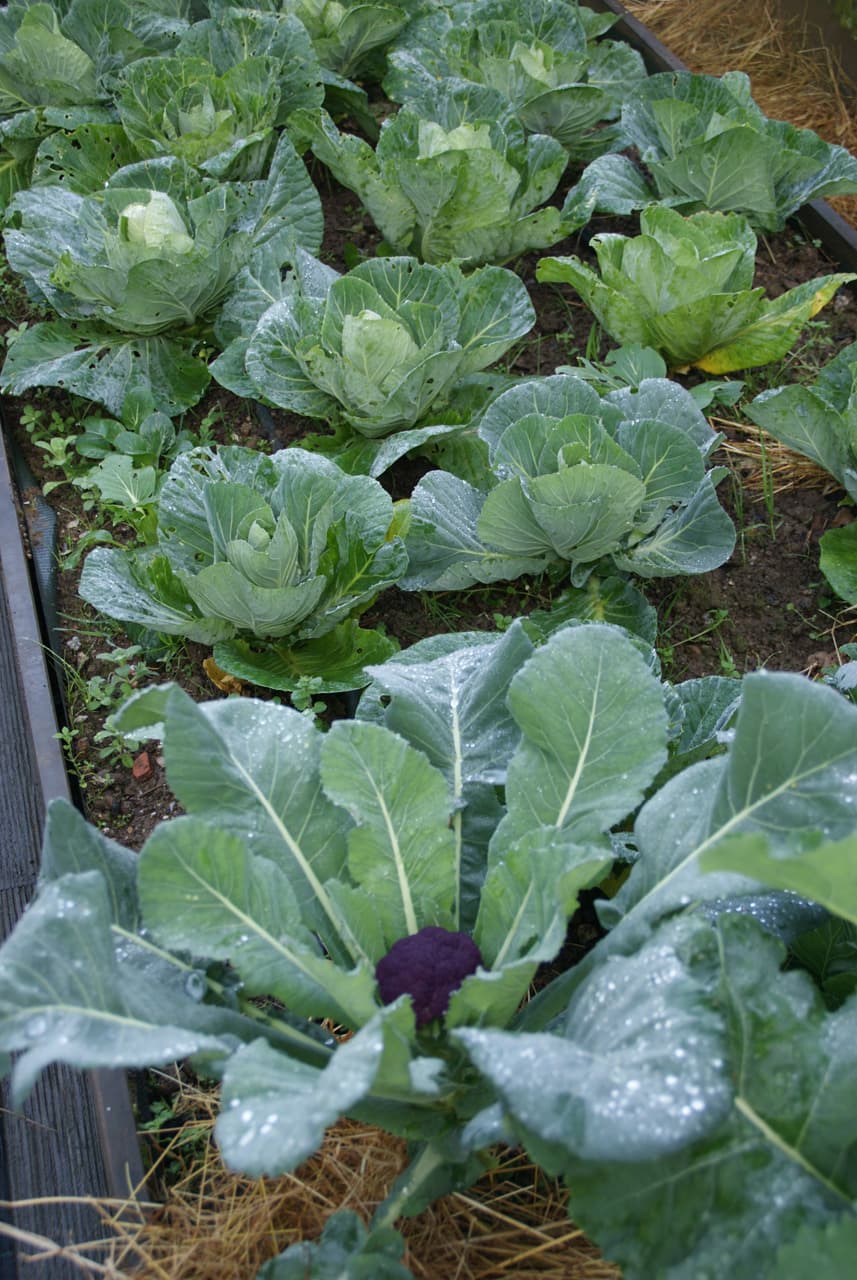 Trabajos de Azur Jardineros