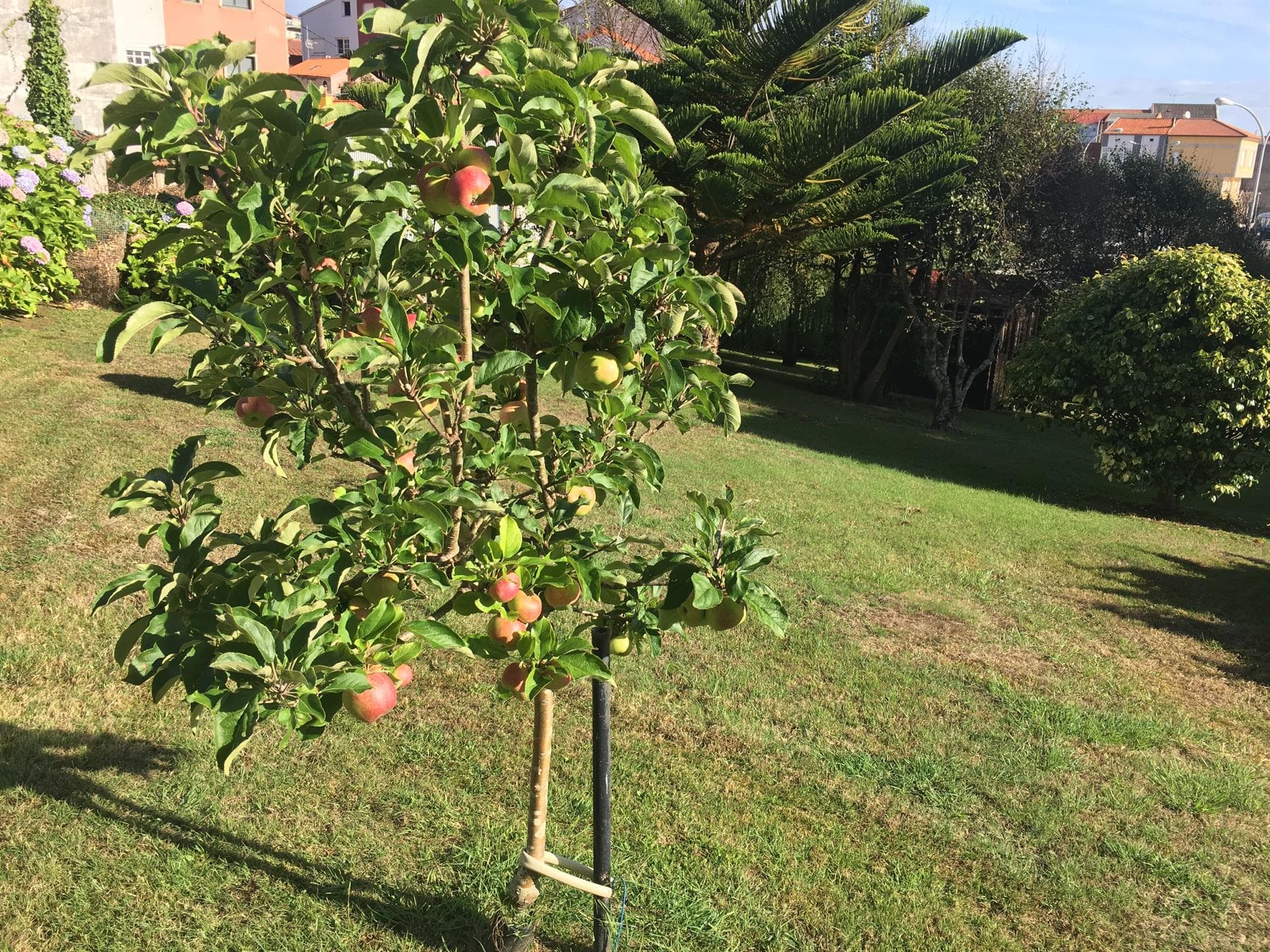 Trabajos de Azur Jardineros